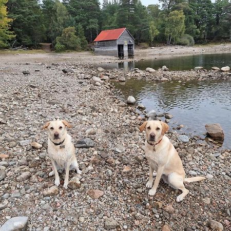 The Shelter Stone Cottage Aviemore Exteriör bild